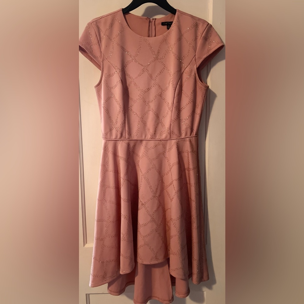 City Triangles Pink dress with gold glitter